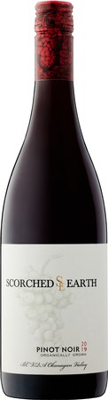 2019 Pinot Noir