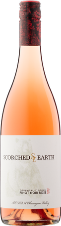 2020 Bearly Blushing Rose of Pinot Noir